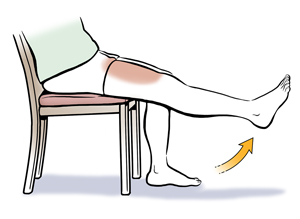 Lower body of seated person showing long-arc knee extension.