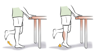 Person from waist down with hands on a table bending on leg up at the knee, then raising up on toes of standing leg. 