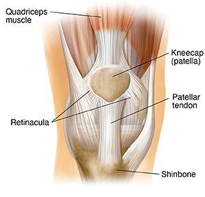 Front view of knee joint.
