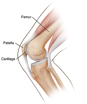 Side view of bent knee showing patella and knee joint.